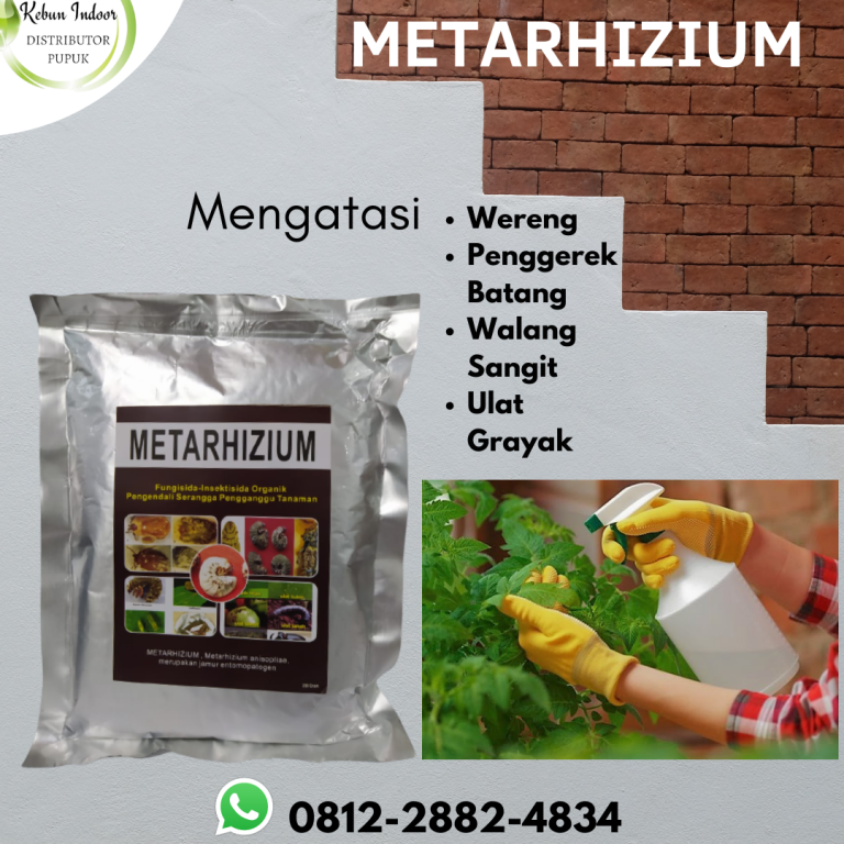 MURAH, 0812-2882-4834, Pusat Insektisida Untuk Padi Bunting Mataram, Toko Insektisida Untuk Padi Kerdil Lombok Barat, Harga Insektisida Untuk Pohon Mangga Gerung