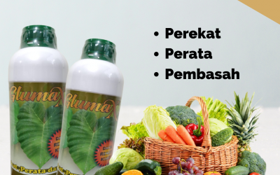 PROMO, 0812-2882-4834, Pusat Perekat Perata Penembus Pestisida Terbaik Palangkaraya, Toko Perekat Perata Penembus Pestisida Kotawaringin Barat, Harga Perekat Perata Terbaik Kotawaringin Timur