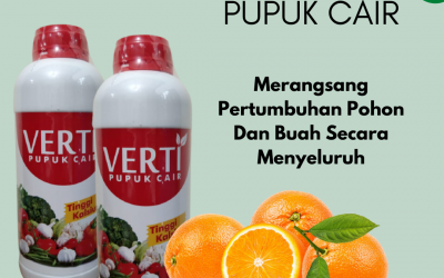 PROMO, 0812-2882-4834, Pusat Pupuk Jeruk Masa Vegetatif  Samarinda, Toko Pupuk Jeruk Musim Hujan Paser, Harga Pupuk Jeruk Madu Tana Paser