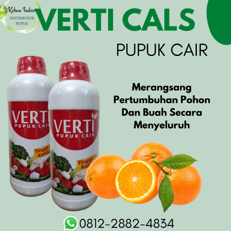 PROMO, 0812-2882-4834, Pusat Pupuk Jeruk Masa Vegetatif  Samarinda, Toko Pupuk Jeruk Musim Hujan Paser, Harga Pupuk Jeruk Madu Tana Paser