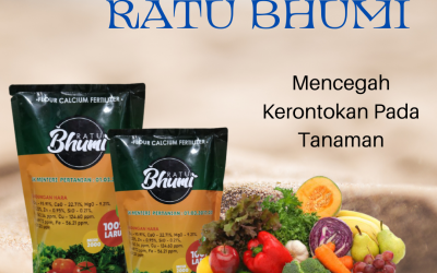 PROMO, 0812-2882-4834, Pusat Pupuk Tanaman Cabe, Toko Pupuk Tanaman Jagung Semarang, Harga Pupuk Tanaman Bawang Merah Brebes, Pabrik Pupuk Tanaman Cabe Rawit Cilacap