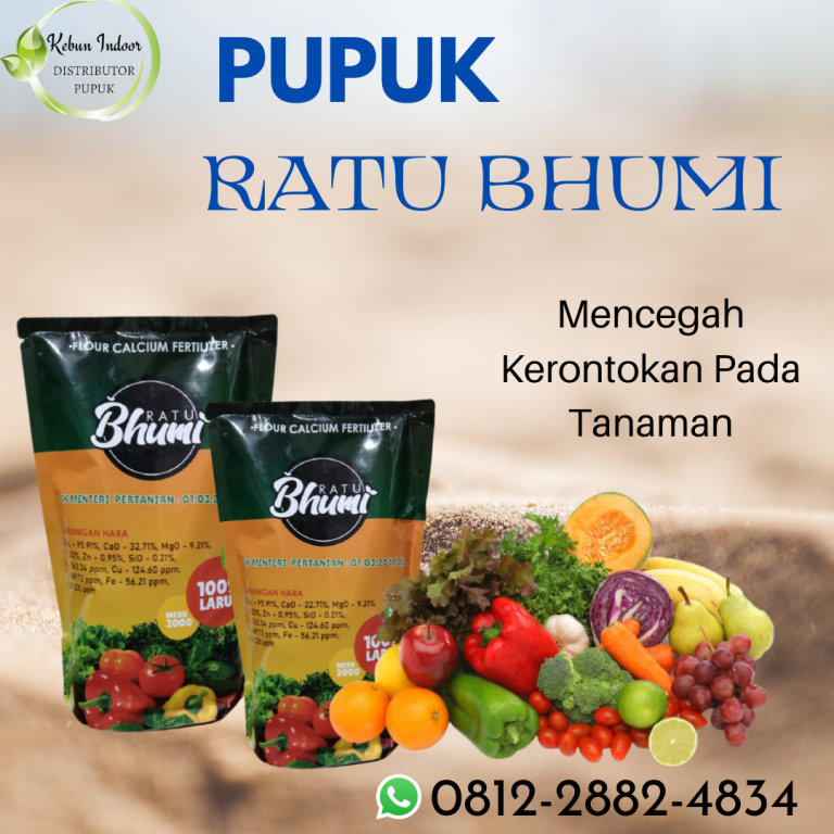 PROMO, 0812-2882-4834, Pusat Pupuk Tanaman Cabe, Toko Pupuk Tanaman Jagung Semarang, Harga Pupuk Tanaman Bawang Merah Brebes, Pabrik Pupuk Tanaman Cabe Rawit Cilacap