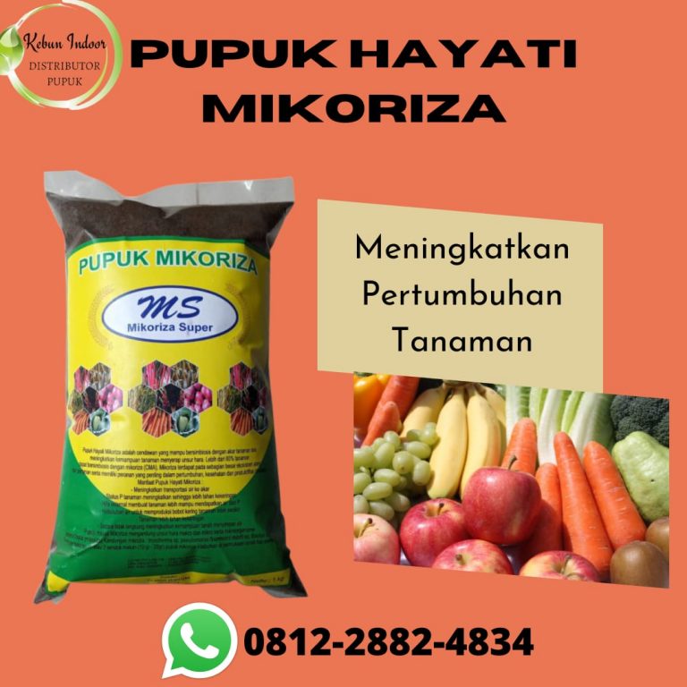 DISKON, 0812-2882-4834, Pusat Pupuk Untuk Umbi Umbian Surabaya, Toko Pupuk Untuk Umbi Bawang Merah Bangkalan, Harga Pupuk Untuk Umbi Bawang Banyuwangi