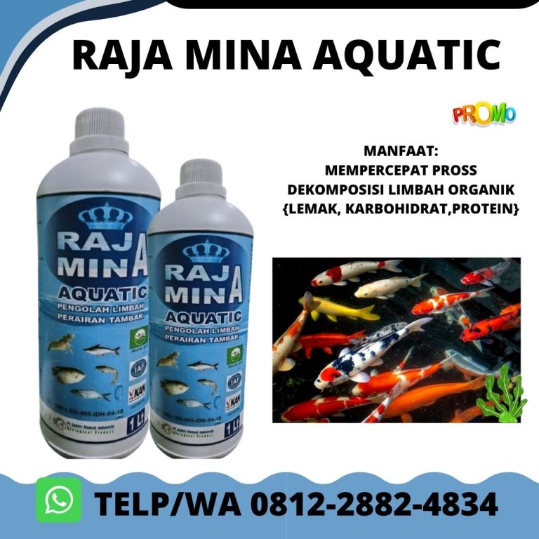 Solusi, 0812-2882-4834, Distributor Probiotic Bakteri Starter Kolam Aquarium Kolam Pontianak, Harga Perikanan Pupuk Probiotik Kolam Sambas, Produsen Perikanan Dan Tambak Probiotik Ikan Pemangkat
