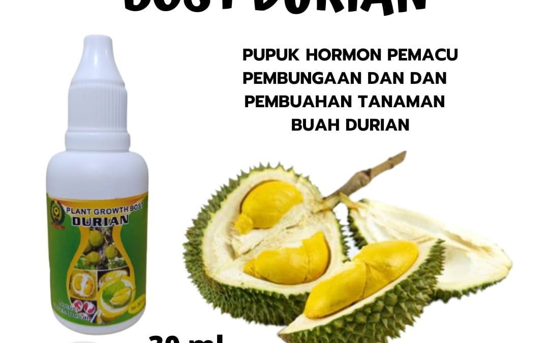 TELP, 0812-2882-4834, Distributor Obat Durian Biar Cepat Berbuah Lampung Selatan, Pusat Obat Buah Durian Agar Tidak Rontok Kalianda, Toko Obat Bunga Durian Agar Tidak Rontok Lampung Tengah