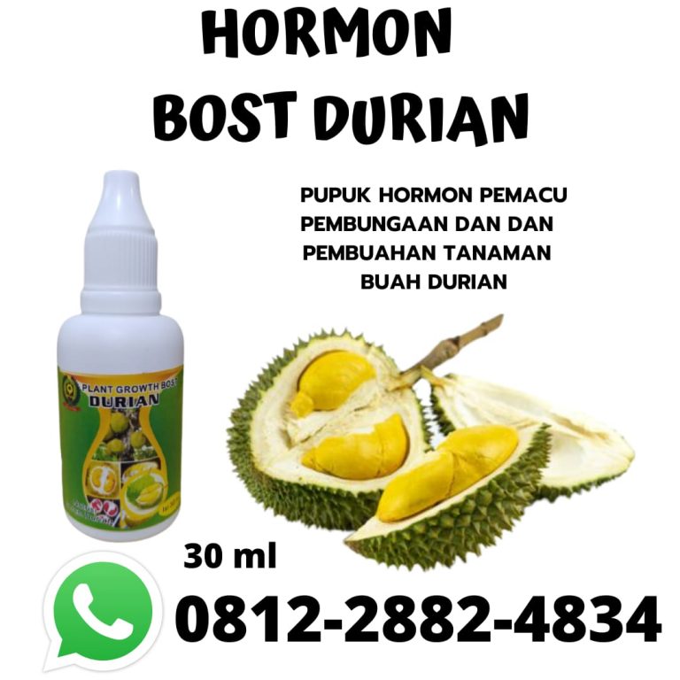 TELP, 0812-2882-4834, Distributor Obat Durian Biar Cepat Berbuah Lampung Selatan, Pusat Obat Buah Durian Agar Tidak Rontok Kalianda, Toko Obat Bunga Durian Agar Tidak Rontok Lampung Tengah