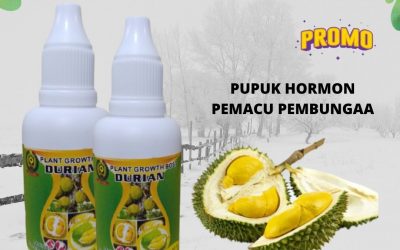 TERBAIK, 0812-2882-4834, Jual Pupuk Perangsang Buah Durian Terbaik Badung, Agen Pupuk Buah Untuk Durian Mangupura, Distributor Pupuk Perangsang Buah Untuk Durian Bangli