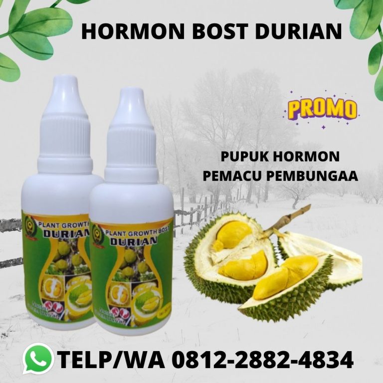 TERBAIK, 0812-2882-4834, Jual Pupuk Perangsang Buah Durian Terbaik Badung, Agen Pupuk Buah Untuk Durian Mangupura, Distributor Pupuk Perangsang Buah Untuk Durian Bangli