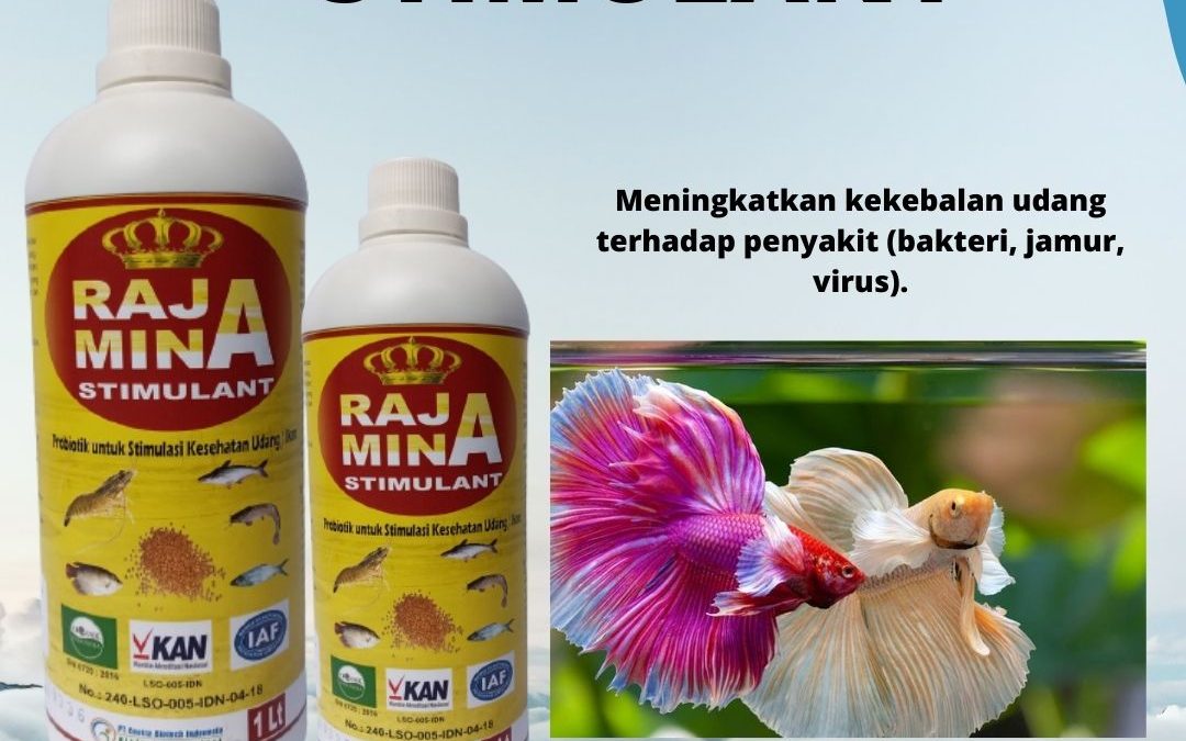TERBAIK, 0812-2882-4834, Toko Obat Untuk Ikan Discus Palembang, Pusat Obat Untuk Ikan Gurame Pangkalan Balai Empat Lawang, Asli Obat Untuk Ikan Gurame Jamuran Tebing Tinggi