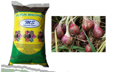 TERMURAH, 0812-2882-4834, Agen Pupuk Perangsang Akar Bonsai Kelapa Pontianak, Pusat Pupuk Perangsang Akar Bonsai Sambas, Toko Pupuk Akar Cabe Merah Pemangkat