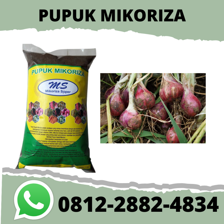 TERMURAH, 0812-2882-4834, Agen Pupuk Perangsang Akar Bonsai Kelapa Pontianak, Pusat Pupuk Perangsang Akar Bonsai Sambas, Toko Pupuk Akar Cabe Merah Pemangkat