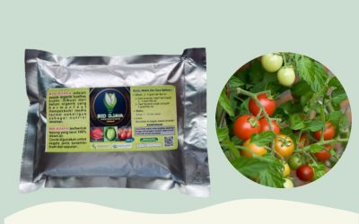 TERMURAH, 0812-2882-4834, Harga Pupuk Cabe Rawit Agar Berbuah Lebat  Medan, Produsen Pupuk Cabe Rawit Musim Hujan Tapanuli Tengah, Pabrik Pupuk Cabe Masa Generatif Pandan