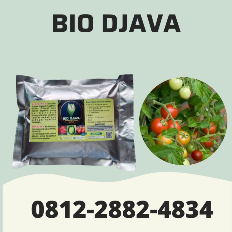 TERMURAH, 0812-2882-4834, Harga Pupuk Cabe Rawit Agar Berbuah Lebat  Medan, Produsen Pupuk Cabe Rawit Musim Hujan Tapanuli Tengah, Pabrik Pupuk Cabe Masa Generatif Pandan