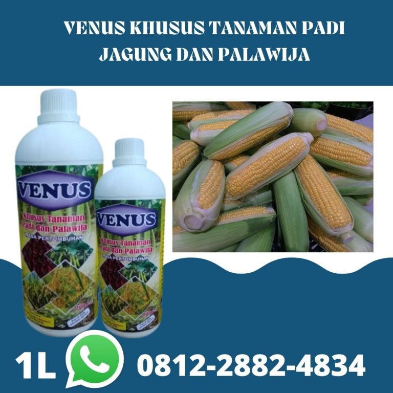 TERMURAH 0812-2882-4834 harga pupuk jagung pak tani Mataram, pabrik pupuk jagung saat berbunga Lombok Barat, Jual pupuk tanaman jagung manis  Gerung