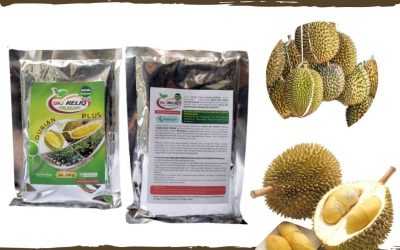 TERPERCAYA, 0812-2882-4834, Distributor Pupuk Durian Agar Berbuah Lebat Lampung Selatan, Pusat Pupuk Durian Agar Tidak Rontok Kalianda, Toko Pupuk Durian Agar Berbuah Lampung Tengah