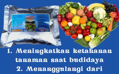 WA, 0812-2882-4834, Toko Insektisida Untuk Lalat Buah Pada Cabe  Medan, Harga Insektisida Untuk Lembing Batu Tapanuli Tengah, Pabrik Insektisida Untuk Melon Pandan