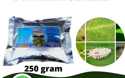 WA, 0812-2882-4834, Distributor Insektisida Organik Untuk Anggrek Kendari, Pusat Insektisida Untuk Padi Kolaka, Pabrik Insektisida Untuk Kutu Putih Konawe