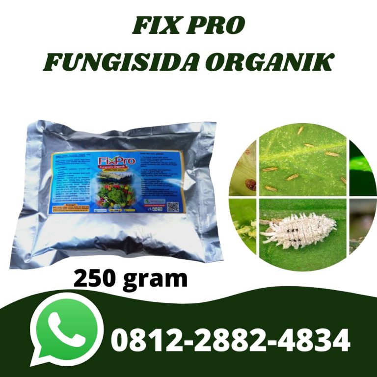 WA, 0812-2882-4834, Distributor Insektisida Organik Untuk Anggrek Kendari, Pusat Insektisida Untuk Padi Kolaka, Pabrik Insektisida Untuk Kutu Putih Konawe