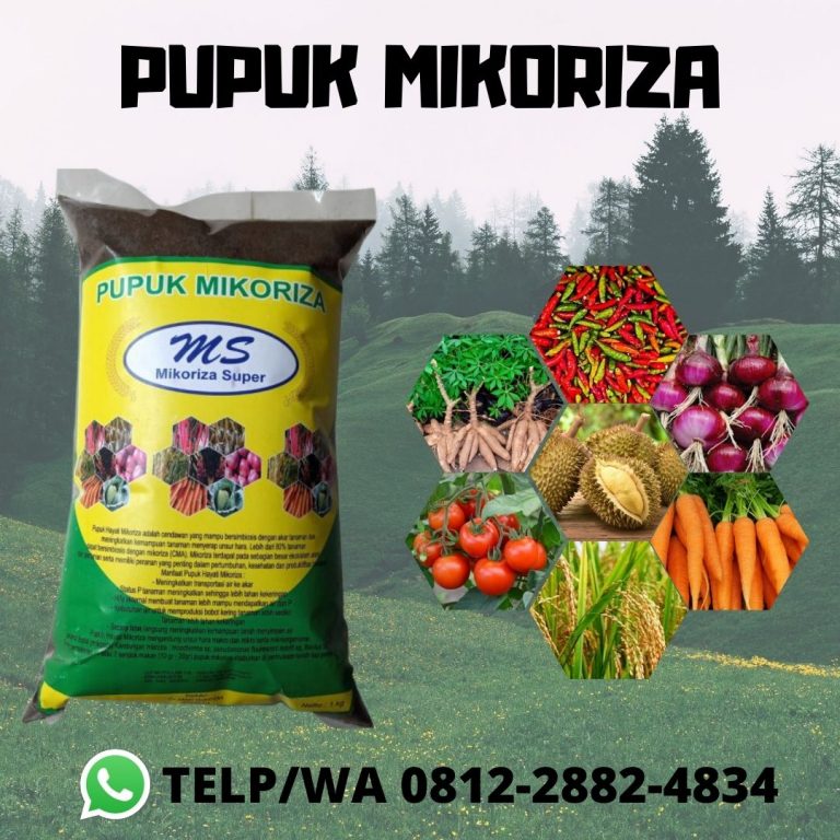 WA, 0812-2882-4834, Harga Pupuk Untuk Umbi Bawang, Pabrik Pupuk Akar Dan Pupuk Daun Bengkulu Selatan, Jual Pupuk Akar Tanaman Kota Manna