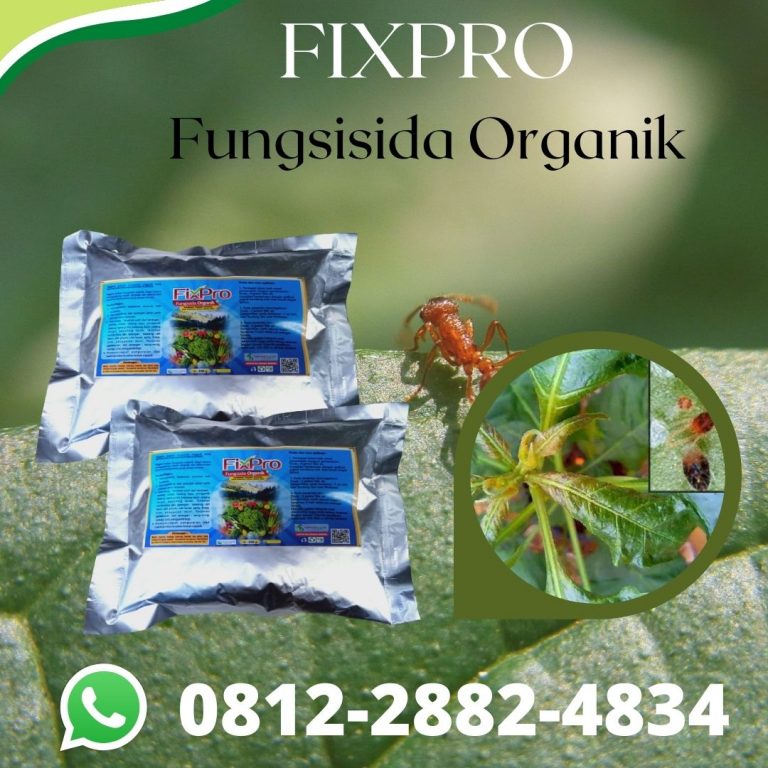 WA, 0812-2882-4834, Toko Insektisida Untuk Lalat Buah Pada Cabe Semarang, Harga Insektisida Untuk Lembing Batu Brebes, Pabrik Insektisida Untuk Melon Cilacap