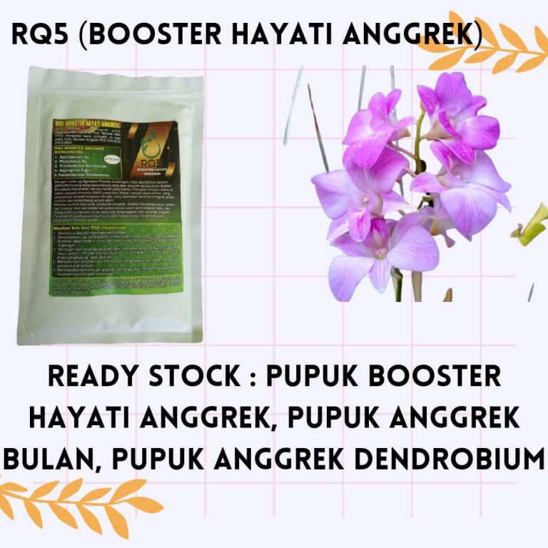 WA, 0812-2882-4834, AGEN Pupuk Anggrek Masa Vegetatif Kota Mamuju, PUSAT Pupuk Anggrek Milt Mamuju Utara, HARGA Pupuk Anggrek Macan Pasangkayu, TOKO Pupuk Anggrek Muda Mamuju