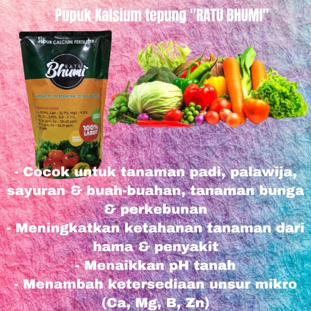 Jual Pupuk Tanaman Cepat Berbuah Padang, Agen Pupuk Tanaman Ginseng Padang, Distributor Pupuk Tanaman Jahe Painan, Pusat Pupuk Tanaman Jeruk Sijunjung, pupuk hayati mikoriza Muaro Sijunjung, pupuk hayati mikoriza plus Tanah Datar, mikoriza untuk cabe Batusangkar, mikoriza untuk padi Padang Pariaman, mikoriza untuk porang Parit Malintang, mikoriza untuk bawang merah Agam