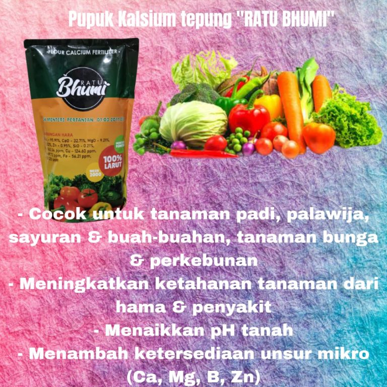 AMPUH, 0812-2882-4834, Jual Pupuk Tanaman Cepat Berbuah  Padang, Agen Pupuk Tanaman Ginseng  Padang, Distributor Pupuk Tanaman Jahe Painan, Pusat Pupuk Tanaman Jeruk Sijunjung