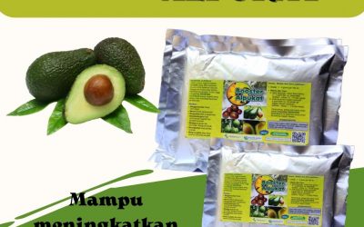 Spesial, 0812-2882-4834, Agen Pupuk Untuk Alpukat Muda Surabaya, Distributor Pupuk Untuk Alpukat Yang Sedang Berbunga Bangkalan, Harga Pupuk Untuk Pohon Alpukat Agar Cepat Berbuah Banyuwangi