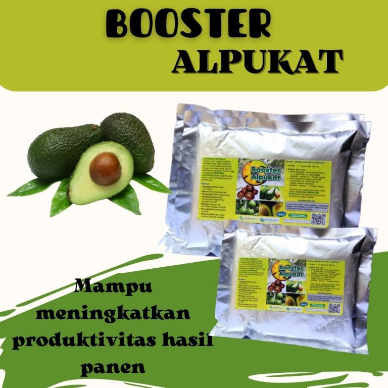 Spesial, 0812-2882-4834, Agen Pupuk Untuk Alpukat Muda Surabaya, Distributor Pupuk Untuk Alpukat Yang Sedang Berbunga Bangkalan, Harga Pupuk Untuk Pohon Alpukat Agar Cepat Berbuah Banyuwangi
