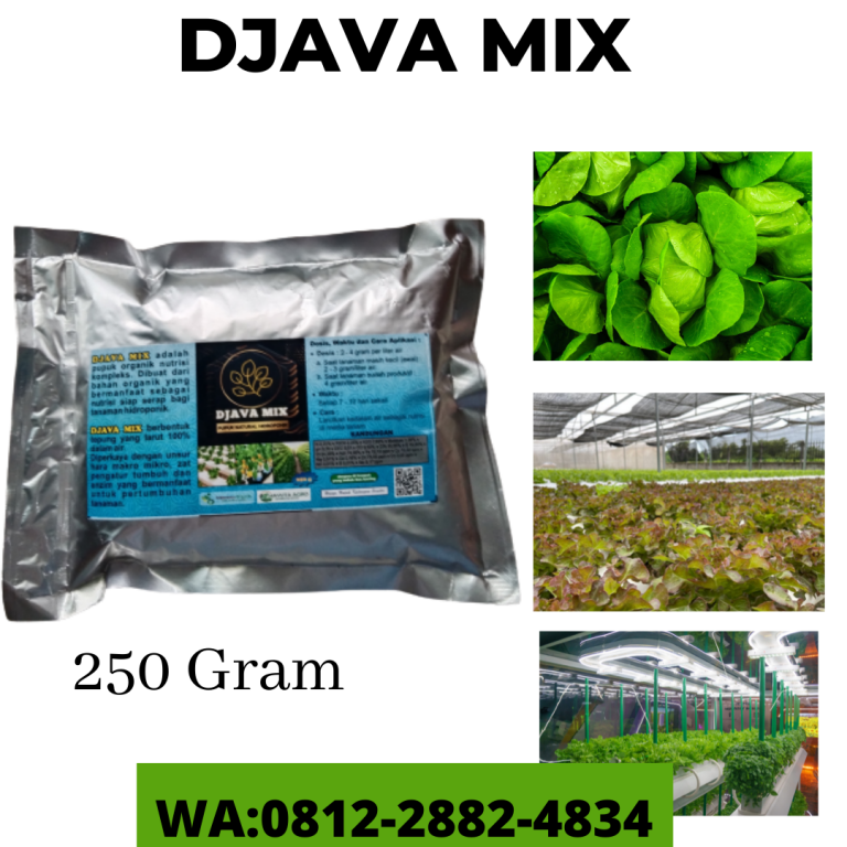 Aman, 0812-2882-4834, Murah Pupuk Penyubur Tanaman Hidroponik Pontianak, Diskon Pupuk Tanaman Sayur Hidroponik Sambas, Tempat Pupuk Untuk Tanaman Sayuran Hidroponik Pemangkat