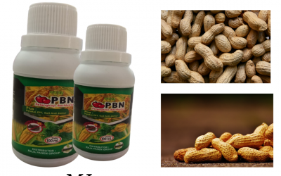 Aman, 0812-2882-4834, Murah Pupuk Untuk Kacang Tanah Lampung Selatan, Diskon Pupuk Untuk Kentang Kalianda, Tempat Pupuk Untuk Lengkuas Lampung Tengah