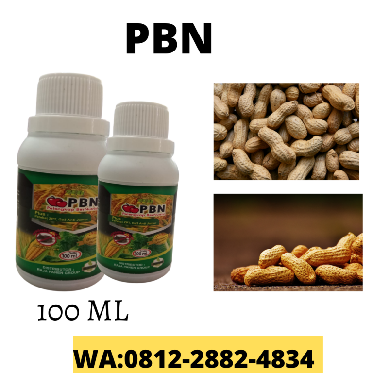 Aman, 0812-2882-4834, Murah Pupuk Untuk Kacang Tanah Lampung Selatan, Diskon Pupuk Untuk Kentang Kalianda, Tempat Pupuk Untuk Lengkuas Lampung Tengah