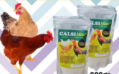 DAPATKAN, 0812-2882-4834, Asli CalsiMAX+ Suplemen Pakan ayam umur 2 bulan Pangkal Pinang, Supplier CalsiMAX Suplemen Kalsium ayam umur 1 bulan Bangka, Jual CalsiMAX Suplemen Calcium ayam umur 3 bulan Sungai Liat