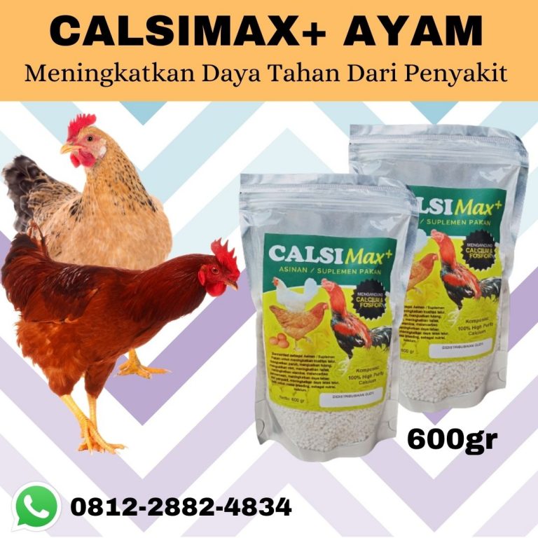 DAPATKAN, 0812-2882-4834, Asli CalsiMAX+ Suplemen Pakan ayam umur 2 bulan  Pangkal Pinang, Supplier CalsiMAX Suplemen Kalsium ayam umur 1 bulan Bangka, Jual CalsiMAX Suplemen Calcium ayam umur 3 bulan Sungai Liat
