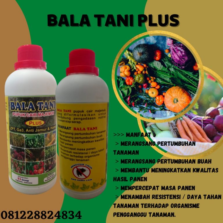 AMANAH, 0812-2882-4834, Asli Pupuk Buah Jambu Air Pontianak, Supplier Pupuk Buah Jeruk Biar Manis Sambas, Jual Pupuk Buah Jambu Kristal Pemangkat