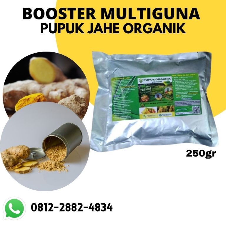 Promo, 081228824834, Beli Pupuk Organik Tanaman Jahe Bengkulu Selatan, Promo Pupuk Organik Untuk Jahe Kota Manna, Jual Nutrisi Jahe Merah Rejang Lebong