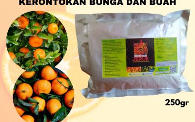 Subur, 0812-2882-4834, Beli Pupuk Untuk Pembesar Buah Jeruk Pekan Baru, Promo Pupuk Untuk Jeruk Purut Kampar, Jual Pupuk Untuk Jeruk Lemon Bangkinang