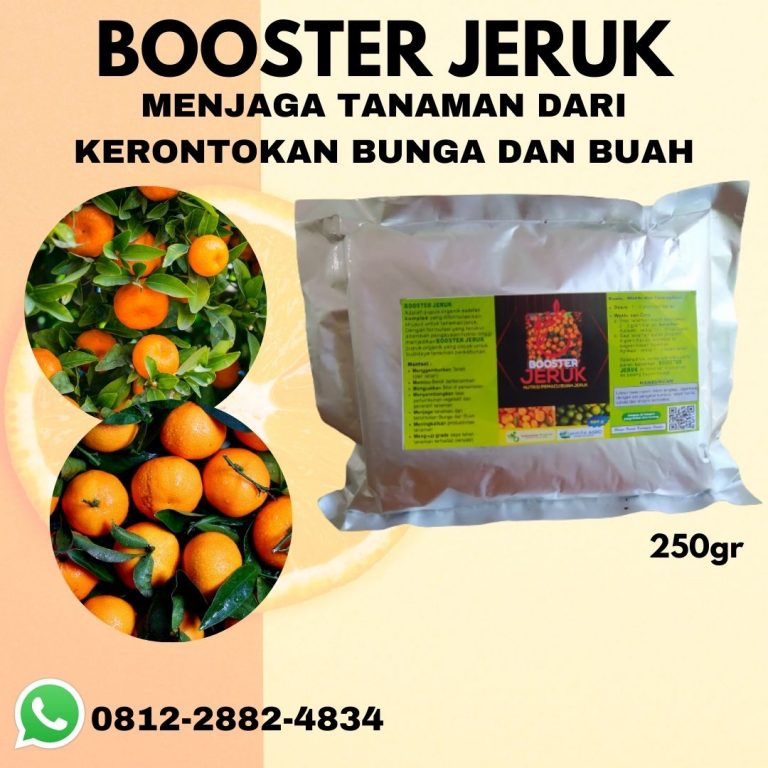 Subur, 0812-2882-4834, Beli Pupuk Untuk Pembesar Buah Jeruk Pekan Baru, Promo Pupuk Untuk Jeruk Purut Kampar, Jual Pupuk Untuk Jeruk Lemon Bangkinang