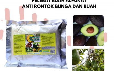 Terbaru, 0812-2882-4834, Beli Pupuk Vegetatif Alpukat Bandung Barat, Promo Pupuk Pertumbuhan Alpukat Ngamprah, Jual Pupuk Yang Bagus Untuk Alpukat