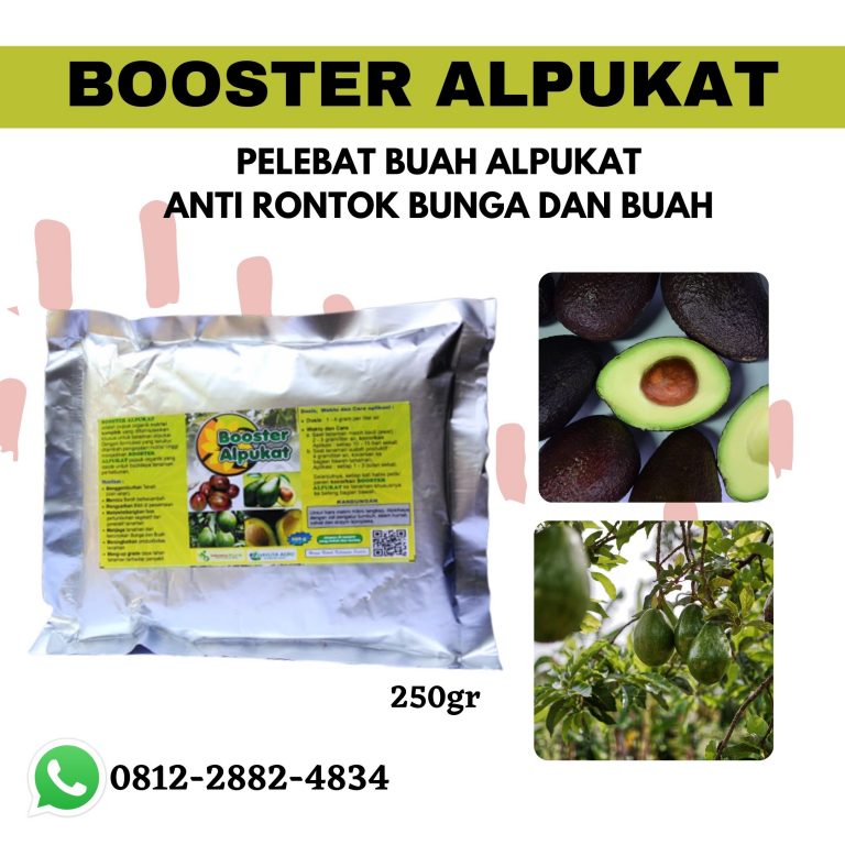 Terbaru, 0812-2882-4834, Beli Pupuk Vegetatif Alpukat Bandung Barat, Promo Pupuk Pertumbuhan Alpukat Ngamprah, Jual Pupuk Yang Bagus Untuk Alpukat