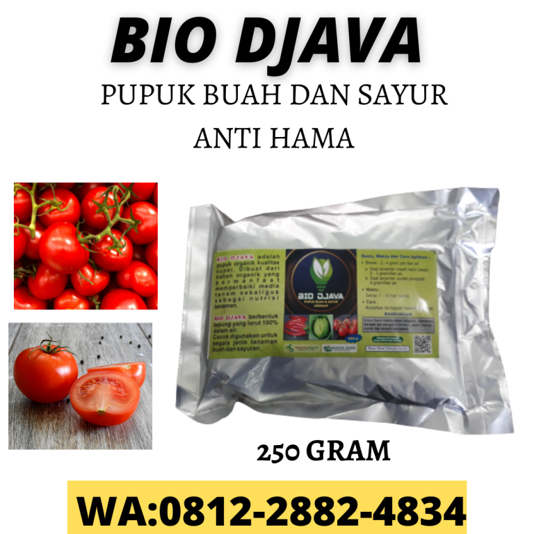 DAPATKAN, 0812-2882-4834, Pabrik Pupuk Tomat Musim Hujan Gorontalo, Grosir Pupuk Tomat Alami Limboto, Toko Pupuk Tomat Saat Berbunga Boalemo