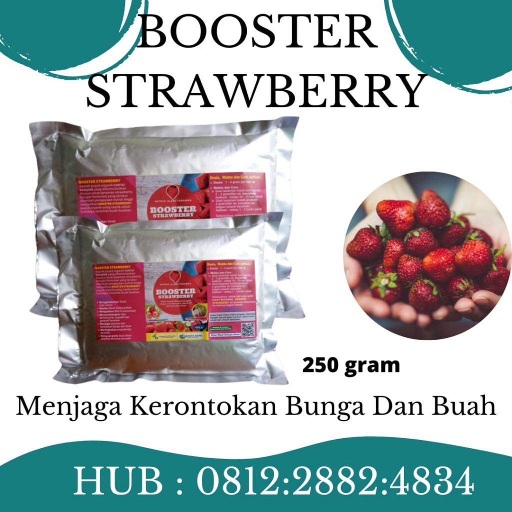 DISKON, 0812-2882-4834, Harga Pupuk Strawberry Agar Cepat Berbuah  Samarinda, Produsen Pupuk Strawberry Cepat Berbuah Paser, Pabrik Pupuk Strawberry Alami Tana Paser