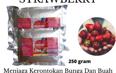 DISKON, 0812-2882-4834, Harga Pupuk Strawberry Agar Cepat Berbuah Samarinda, Produsen Pupuk Strawberry Cepat Berbuah Paser, Pabrik Pupuk Strawberry Alami Tana Paser