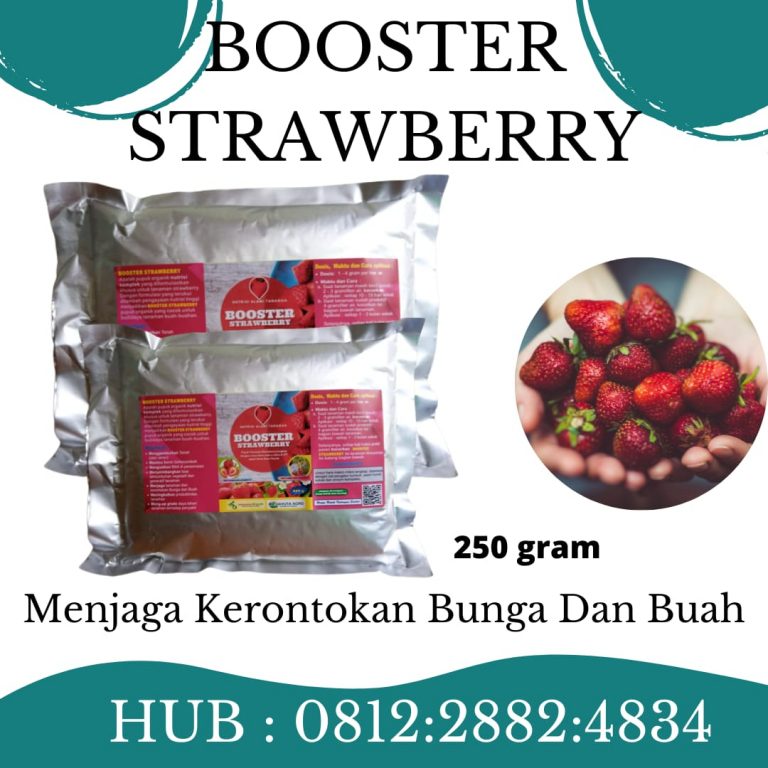 DISKON, 0812-2882-4834, Harga Pupuk Strawberry Agar Cepat Berbuah  Samarinda, Produsen Pupuk Strawberry Cepat Berbuah Paser, Pabrik Pupuk Strawberry Alami Tana Paser