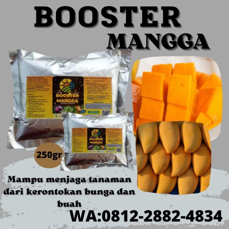 MURAH, 0812-2882-4856, DISTRIBUTOR Pupuk Mangga Biar Cepat Buah Palabuhanratu, HARGA Pupuk Buah Mangga Yang Bagus Sumedang, PRODUSEN Pupuk Booster Mangga Tasikmalaya