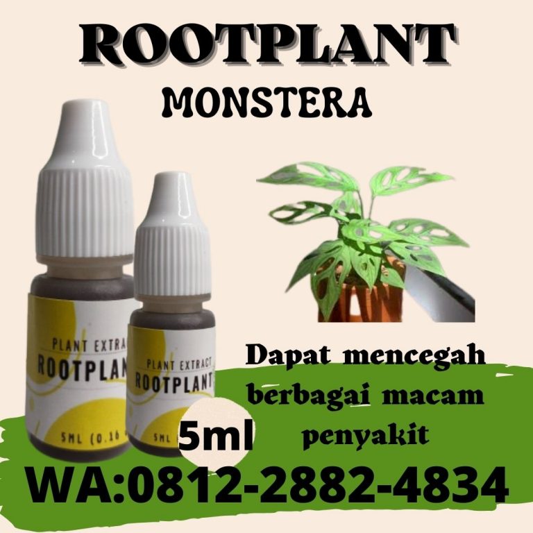 Limited, 0812-2882-4834, Disrtibusor Pupuk Yang Cocok Untuk Janda Bolong Bengkulu Selatan, Harga Pupuk Cair Janda Bolong Kota Manna, Produsen Pupuk Tanaman Janda Bolong Rejang Lebong