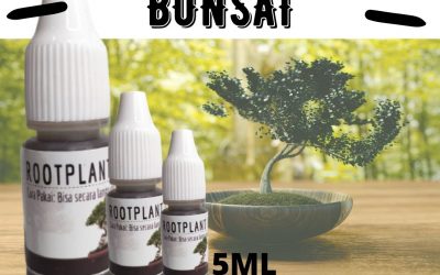 Limited, 0812-2882-4834, Distributor Pupuk Buat Bonsai Beringin Kuningan, Harga Pupuk Cair Bonsai Majalengka, Produsen Pupuk Daun Bonsai Pangandaran