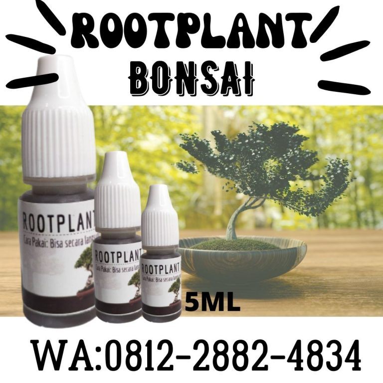 Limited, 0812-2882-4834, Distributor Pupuk Buat Bonsai Beringin Kuningan, Harga Pupuk Cair Bonsai Majalengka, Produsen Pupuk Daun Bonsai Pangandaran