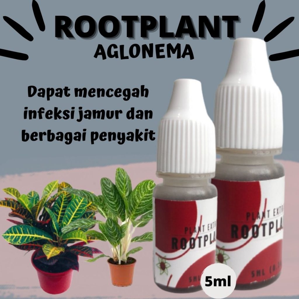  Distributor Pupuk Cair Untuk Aglaonema Kerinci, Harga Pupuk Daun Aglaonema Merangin, Produsen Pupuk Untuk Daun Aglaonema Bangko, Grosir Pupuk Penyubur Daun Aglaonema Sarolangun, Pabrik Pupuk Pencerah Daun Aglaonema Sarolangun, Murah Pupuk Buat Daun Aglaonema Batanghari, Diskon Pupuk Untuk Warna Daun Aglaonema Muara Bulian, Tempat Pupuk Tanaman Hias Aglaonema Muaro Jambi, Toko Pupuk Untuk Tanaman Hias Aglaonema Sengeti, Asli Pupuk Tanaman Hias Aglonema Tanjung Jabung Barat