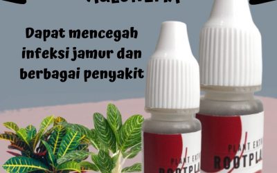 Limited, 0812-2882-4834, Distributor Pupuk Cair Untuk Aglaonema Kerinci, Harga Pupuk Daun Aglaonema Siulak, Produsen Pupuk Untuk Daun Aglaonema Merangin